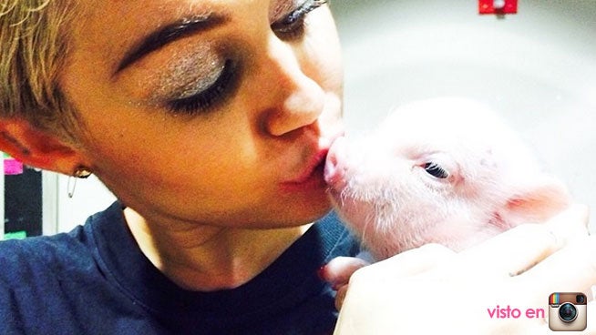 Miley Cyrus besa a Bubba Sue. 