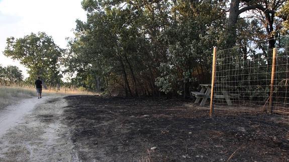 Terreno  quemado por el incendio declarado en el entorno de Pinarejos el pasado día 8.