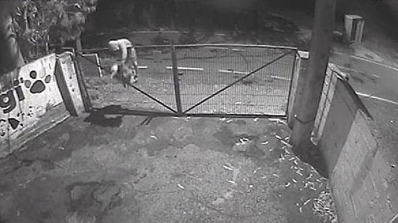 Lanza a su perra preñada por encima de la valla de un refugio de animales