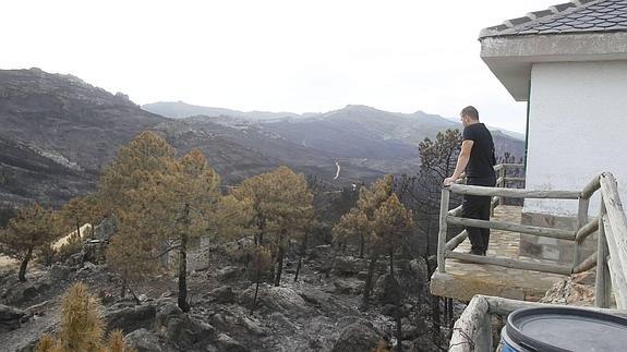 Imágenes que muestran el paso de los dos años tras el incendio. 