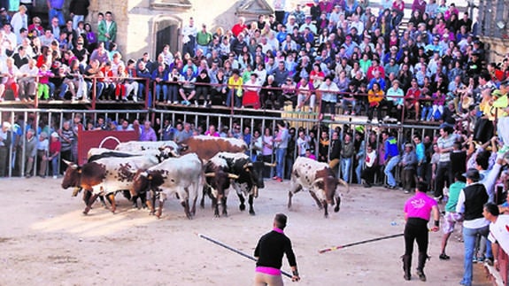 Gran ambiente durante el encierro, al que asistieron numerosas personas.