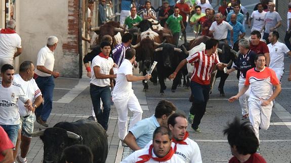 Toros de Los Coquilla de Sánchez Arjona en el tramo urbano durante el encierro del martes. 