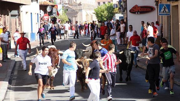 Una imagen del último encierro de las fiestas de Nava. 