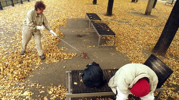 Los empleados municipales recogiendo hojas secas de las calles