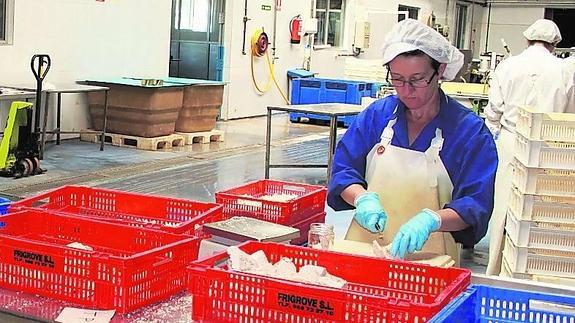 Trabajadoras en las instalaciones de Elkano, en mayo pasado.L