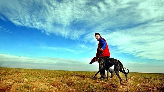 Un galgo de Valladolid y otro de Zamora pasan a los cuarto de final del Campenato Nacional