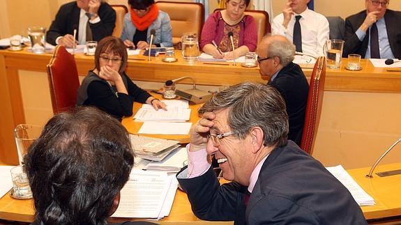 Postigo sonríe durante el pleno del pasado viernes. 