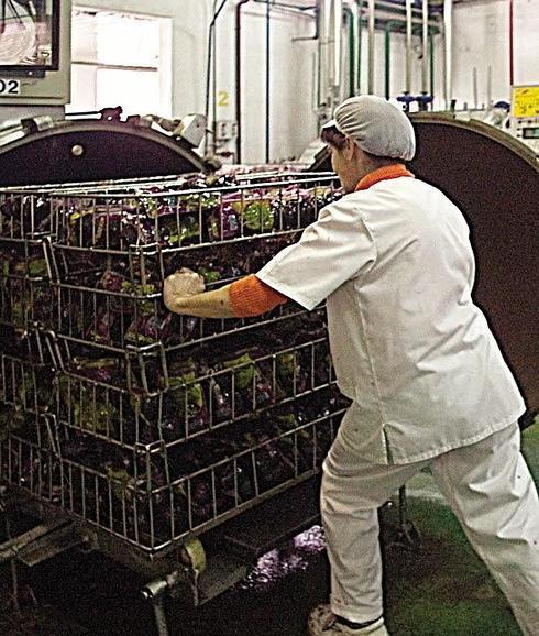 Esterilización de la remolacha roja envasada al vacío en la empresa de Huercasa en Sanchonuño. A. E. C.
