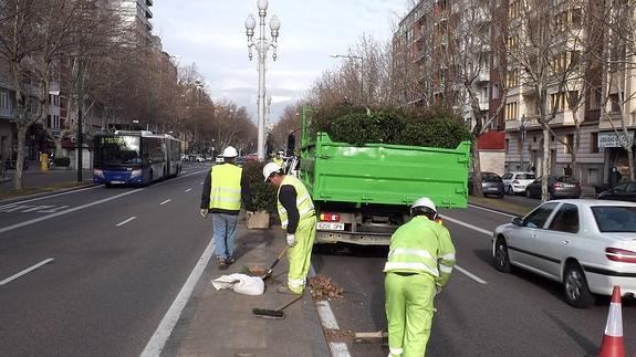 Los operarios retiran las viejas jardineras en el tramo entre el Hospital Militar y la calle Italia. 