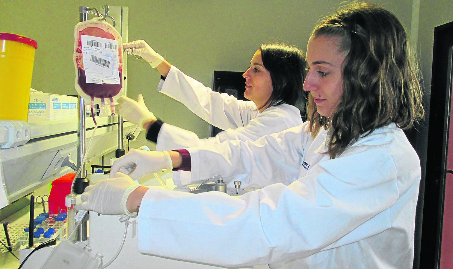 Dos jóvenes trabajan en las instalaciones de la empresa de biotecnología Stem Cell.