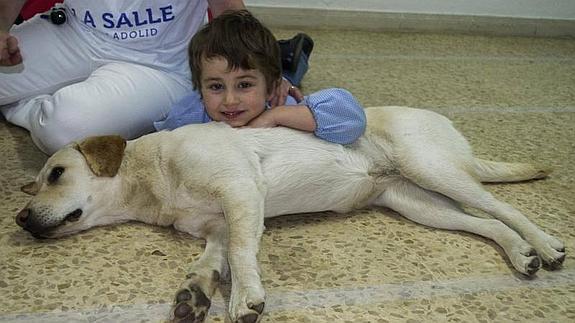 La Salle aplica terapia con perros en casos de necesidades educativas especiales