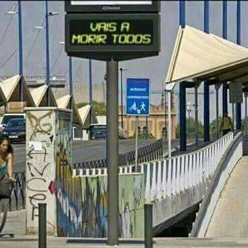 Los 'memes' son para el verano