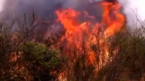 Un incendio forestal como nunca lo habíamos visto