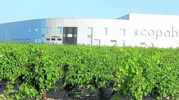 La nueva bodega Copaboca se encuentra rodeada de viñedo, en el término municipal de Tordesillas, frente a El Montico.