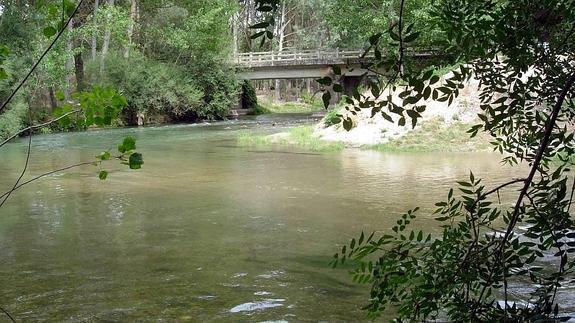 El río Duratón en las inmediaciones de Cobos de Fuentidueña. El Norte