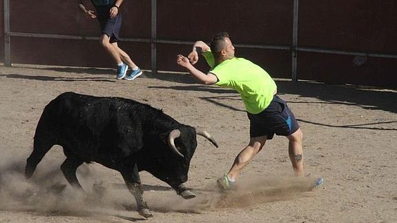 Encierro y capea en Campaspero. 