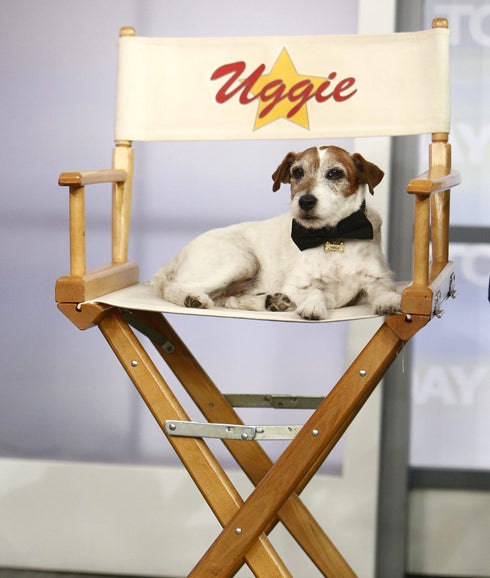 Uggie the Dog. 