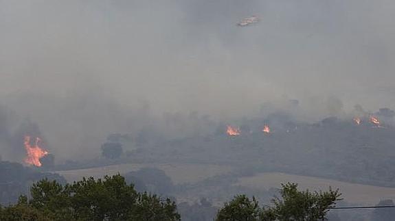 Un incendio iniciado en la localidad de Bermellar amenaza el parque natural de Arribes del Duero. 