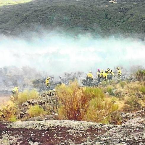 Miembros de una brigada trabajan en Las Navas. ELENA GÓMEZ