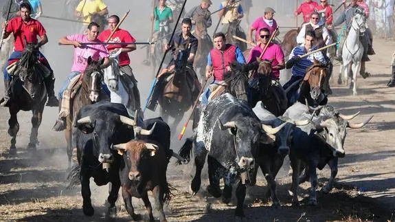 Los caballistas siguen a la manada en un encierro el pasado año.