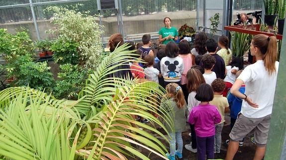 Cerca de 350 personas participan en las actividades de educación ambiental de verano