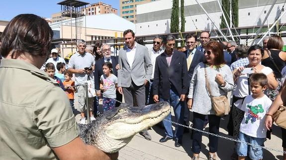 Uno de los cuidadores muestra un cocodrilo al alcalde y visitantes.