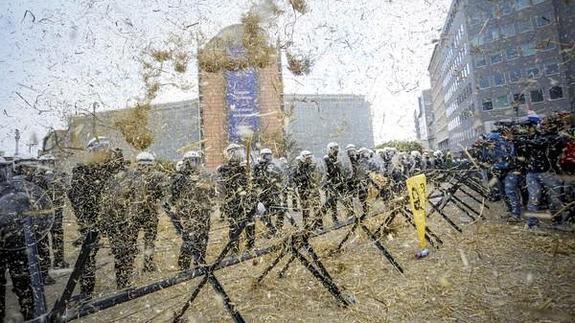 Miles de agricultores protestan en Bruselas contra la crisis del sector lácteo. 