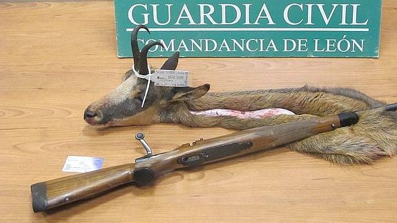 Imagen del animal abatido y del arma incautada a los cazadores.