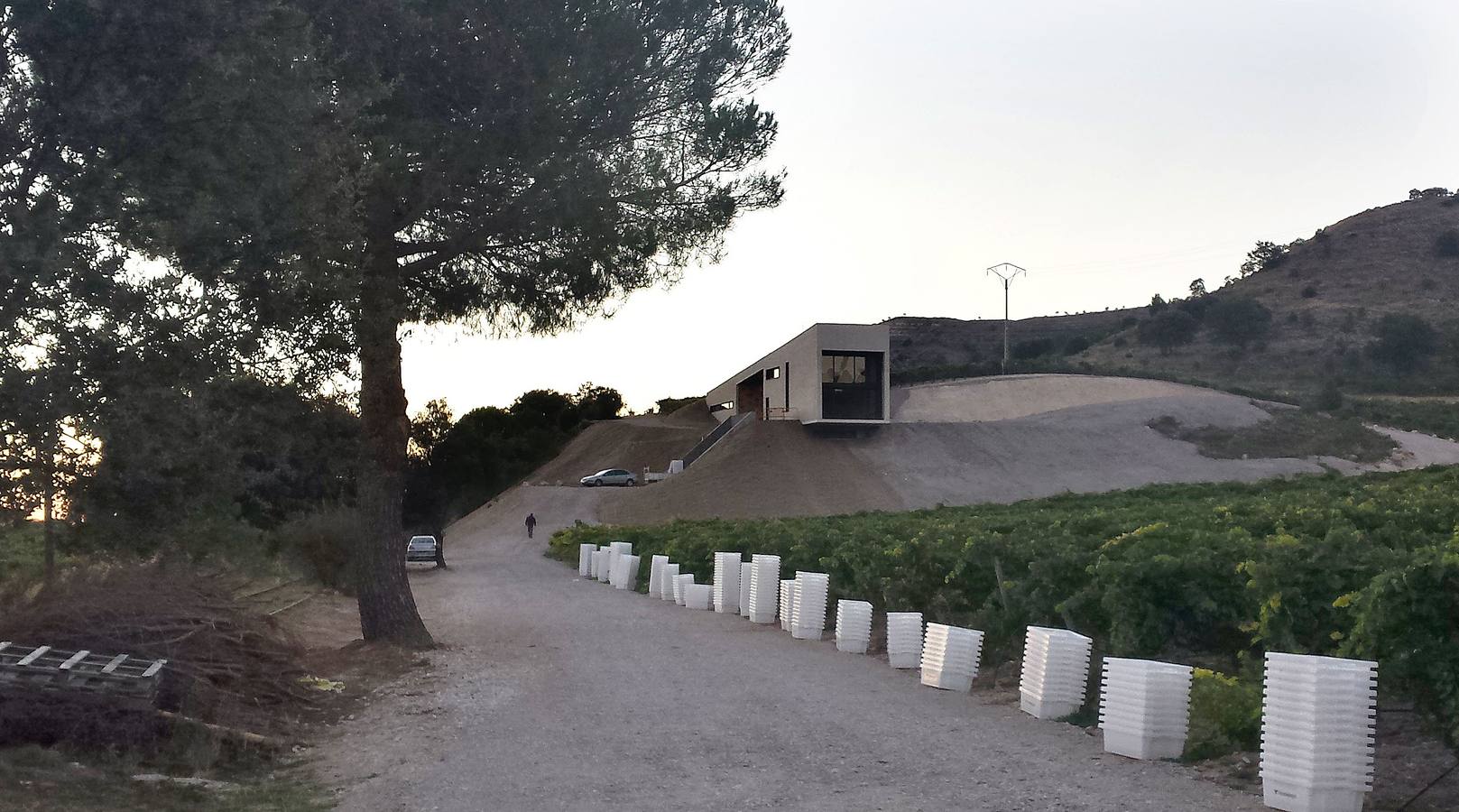 Amanecer en la bodega Valdemonjas. 