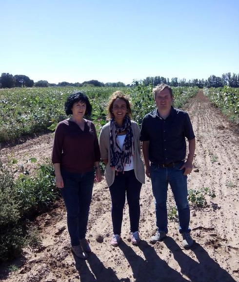 El Céder de Lubia, Copiso y Purines Almazán completan con éxito la primera fase de un proyecto con fines energéticos