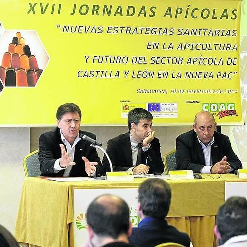 Una de las conferencias de las jornadas apícolas de 2014. 