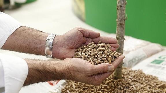 El Norte analiza en una jornada la cadena de valor del pellet, del fabricante al consumidor