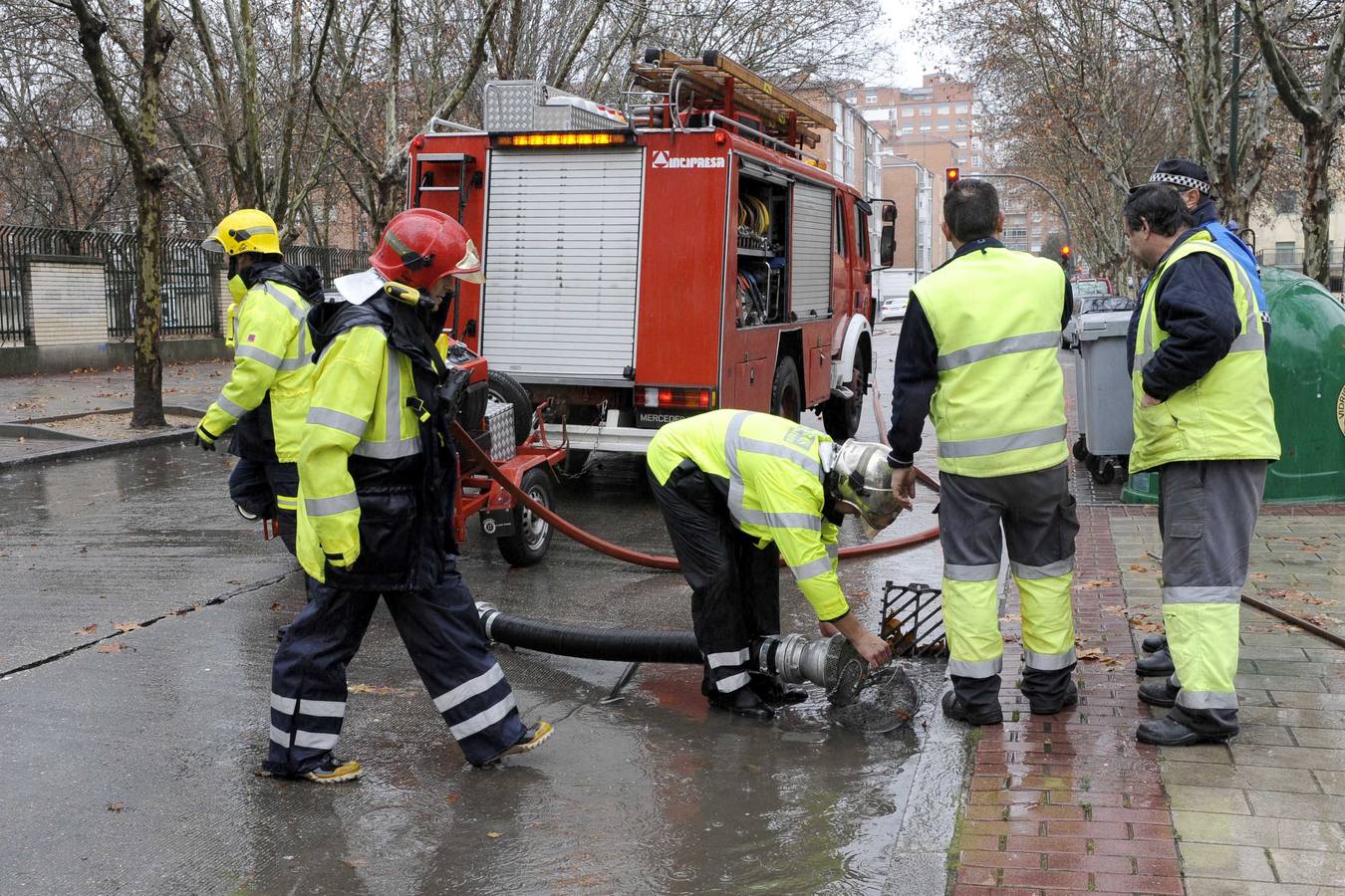 Los Bomberos trabajan en el Paseo del Prado de la Magdalena.