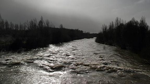 El río Órbigo, a su paso por la localidad de Villanueva de Carrizo (León). 