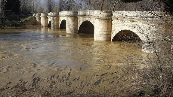 Caudal del río Carrión a su paso por el Puente Mayor de Palencia. 