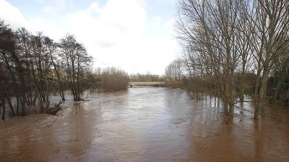 Desbordamiento del Arlanza en Quintana del Puente, el pasado martes.