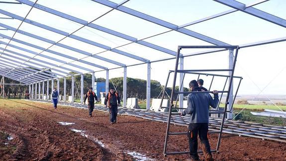 Trabajos de instalación de una de las carpas.