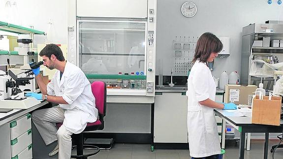 Laboratorios del IOBA, en Valladolid