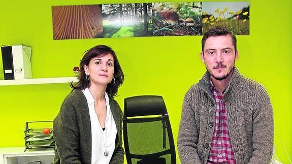 Se admiten ideas micológicas