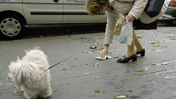 Segovia registrará un 'ADN canino' para acabar con los excrementos en las calles