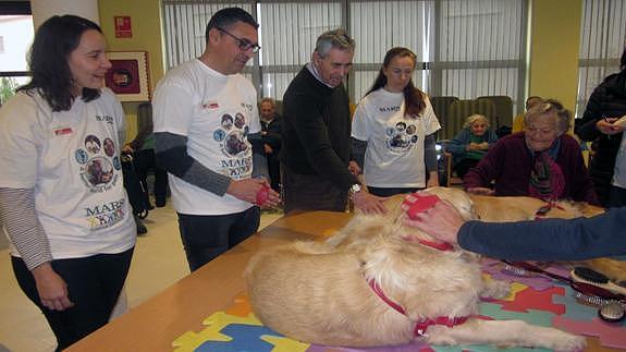 Los trabajadores de Mars España conocen la terapia con animales a las personas mayores