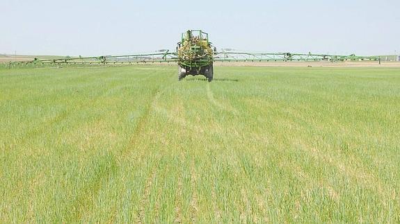 Un agricultor trata una parcela en Ávila.