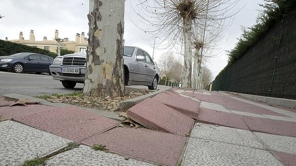 Un juez desestima la intención de los vecinos para que Vega Sicilia arregle la urbanización Santa Ana