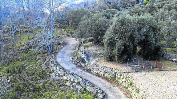 La ruta ‘Asentadero-Bosque de los Espejos’ está considerada una de las 10 mejores de España.