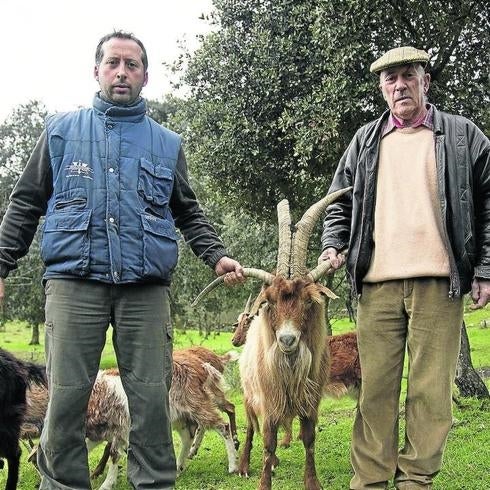 José Manuel Martín padre e hijo posan junto a uno de los ejemplares de su rebaño. 