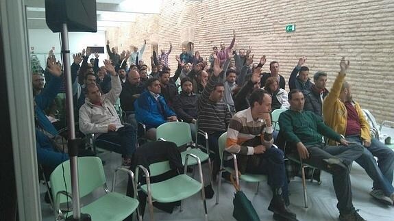 Afiliados de CC OO votan en asamblea en Sevilla.
