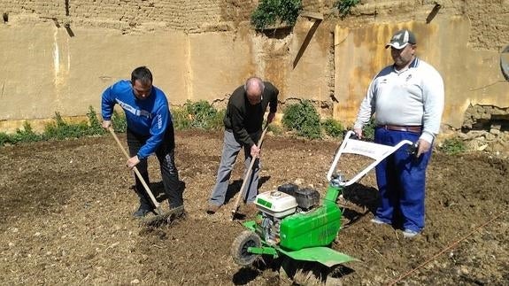 Tres usuarios de los huertos sociales familiares, preparando el terreno para sembrar y plantar.