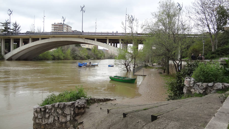 El caudal del pisuerga disminuye poco a poco y ya deja ver los paseos reibereños. 