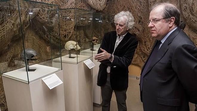 Arsuaga y Herrera observan varios de los cráneos de la exposición. 