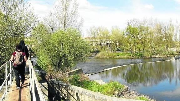 Vista de la zona fluvial del río Tormes donde se localiza la emblemática pesquera de Tejares, objeto desde hace años de una intensa pugna política y vecinal.
